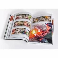 Survival, Orientierung Und Erste-Hilfe^7 VS. WILD - DER OFFIZIELLE SURVIVAL-GUIDE - Survival Guide