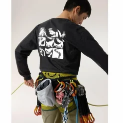 Herren Arc'teryx Shirts Und Tops^Arc'teryx KRAGG SL COTTON BIRD TILE LS M Herren - Langarmshirt