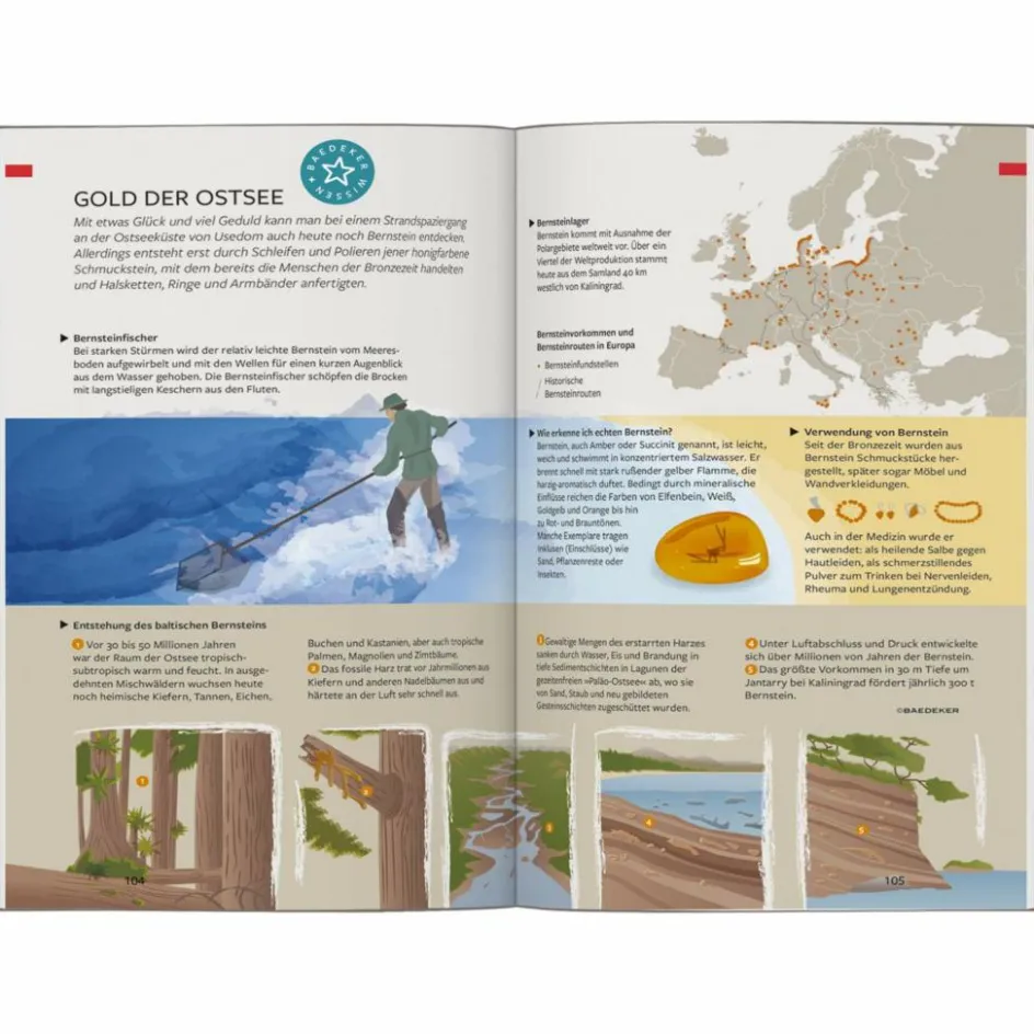 Discount BAEDEKER REISEFÜHRER USEDOM Reiseführer Deutschland