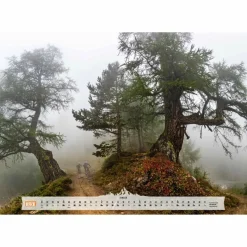 New BEST OF MOUNTAIN BIKE 2026 - Kalender Kalender