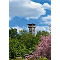 Wanderführer^BVR RUND UM FRANKFURT - Wanderführer