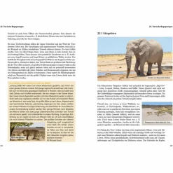 Online CAMPING IN NAMIBIA - Reiseführer Reiseführer Afrika