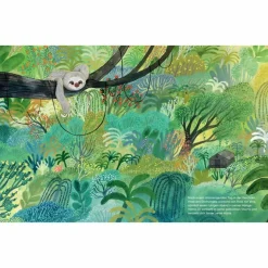 Kinder Bilderbücher|Kinderbücher Und Jugendbücher^DAS KLEINE FAULTIER UND DIE HÄNGEMATTE - Kinderbuch