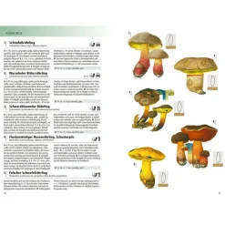 Tiere, Pflanzen Und Garten^DAS KOSMOS-HANDBUCH PILZE - Pilz-Ratgeber