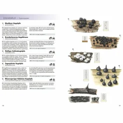 Tiere, Pflanzen Und Garten^DAS KOSMOS-HANDBUCH PILZE - Pilz-Ratgeber