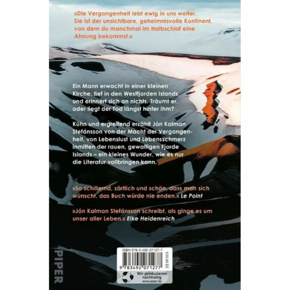 Romane^DEIN FORTSEIN IST FINSTERNIS - Roman