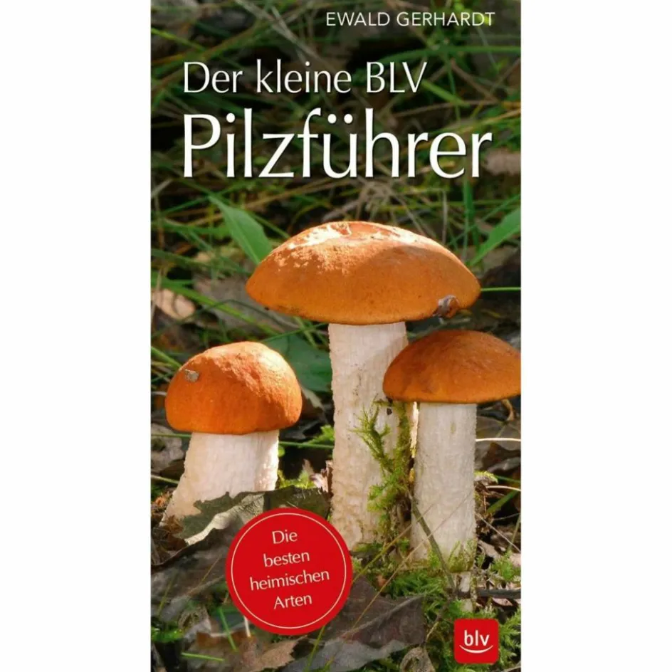 Tiere, Pflanzen Und Garten^DER KLEINE BLV PILZFÜHRER - Ratgeber