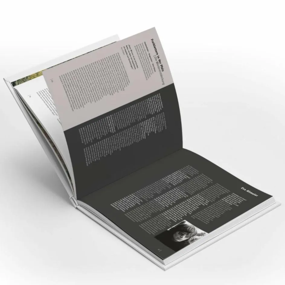 Clearance DIE PFALZ - DAS BUCH Berggeschichten Und Persönlichkeiten|Hoch Hinaus: Bergsteigen Und Klettern