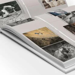 Clearance DIE PFALZ - DAS BUCH Berggeschichten Und Persönlichkeiten|Hoch Hinaus: Bergsteigen Und Klettern