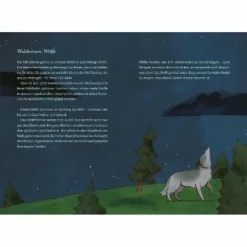 Discount DIE SCHÖNSTEN GESCHICHTEN AUS DEM WALD - Kinderbuch Kinder Kinderromane Und Geschichten|Bilderbücher