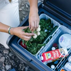 Discount CFX5 25 - Kühlbox Kühlboxen Und Kühltaschen