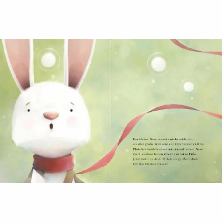DREI WÜNSCHE FÜR DEN HASEN - Kinderbuch Kinder Bilderbücher|Kinderbücher Und Jugendbücher