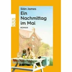 Romane^EIN NACHMITTAG IM MAI - Roman