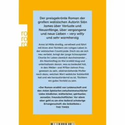 Romane^EIN NACHMITTAG IM MAI - Roman