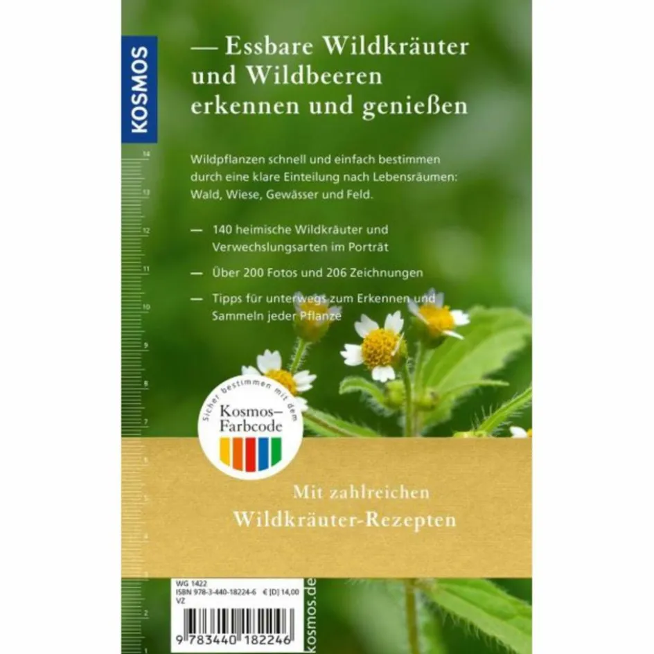 Hot ESSBARE WILDKRÄUTER UND WILDBEEREN FÜR UNTERWEGS - Ratgeber Tiere, Pflanzen Und Garten