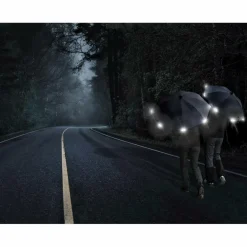 LIGHT TREK AUTOMATIC - Regenschirm Regenschirme