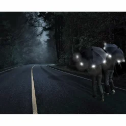 Euroschirm Regenschirme^SWING HANDSFREE - Regenschirm