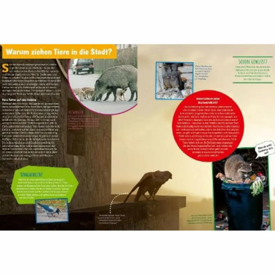 Kinder Naturratgeber Und Sachbücher|Kinderbücher Und Jugendbücher^GENIALE NATUR! DIE SUPERTRICKS UNSERER TIERE UND PFLANZEN - Kinderbuch