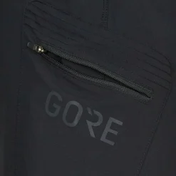 Damen Gore Wear Outdoorhosen^PASSION SHORTS Damen - Radshorts