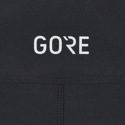 Damen Gore Wear Outdoorhosen^PASSION SHORTS Damen - Radshorts