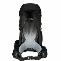 Gregory Trekkingrucksäcke^BALTORO 65 - Trekkingrucksack