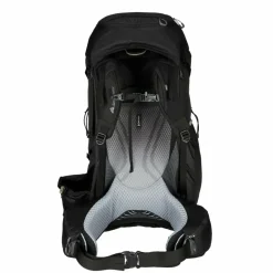 Gregory Trekkingrucksäcke^BALTORO 65 - Trekkingrucksack