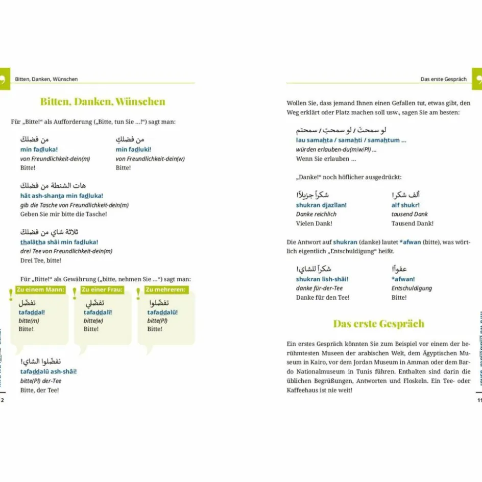 Clearance HOCHARABISCH - WORT FÜR WORT - Sprachführer Sprachführer