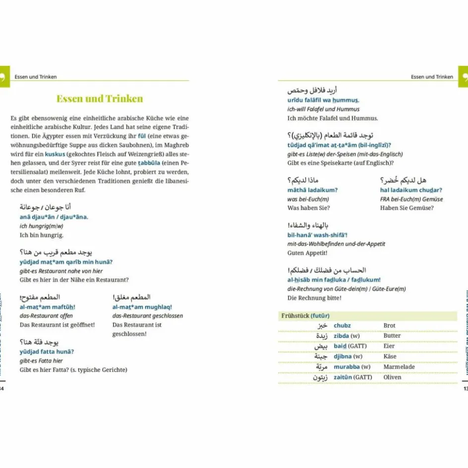 Clearance HOCHARABISCH - WORT FÜR WORT - Sprachführer Sprachführer