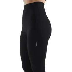 Damen Icebreaker Outdoorhosen^W FASTRAY HIGH RISE TIGHTS Damen - Leggings