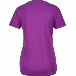 Damen Icebreaker Shirts Und Tops^W MERINO 150 TECH LITE SS SCOOP TEE PANAX Damen - Funktionsshirt
