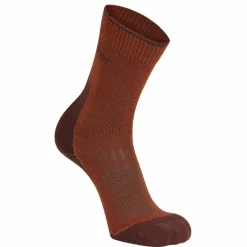 Damen Icebreaker Socken^WOMEN MERINO HIKE+ LIGHT CREW Damen - Wandersocken