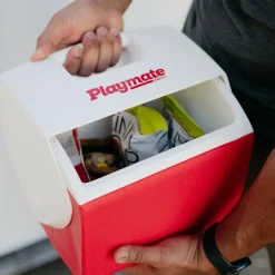 IGLOO Kühlboxen Und Kühltaschen^PLAYMATE PAL PASSIVE COOLER - Kühlbox