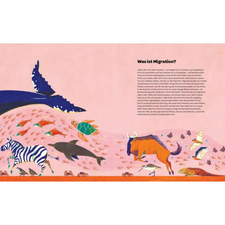 Hot IMMER UNTERWEGS - Kinderbuch Kinder Naturratgeber Und Sachbücher|Kinderbücher Und Jugendbücher