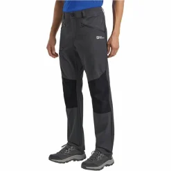 Herren Jack Wolfskin Outdoorhosen^HIKING ALPINE PANTS M Herren - Trekkinghose