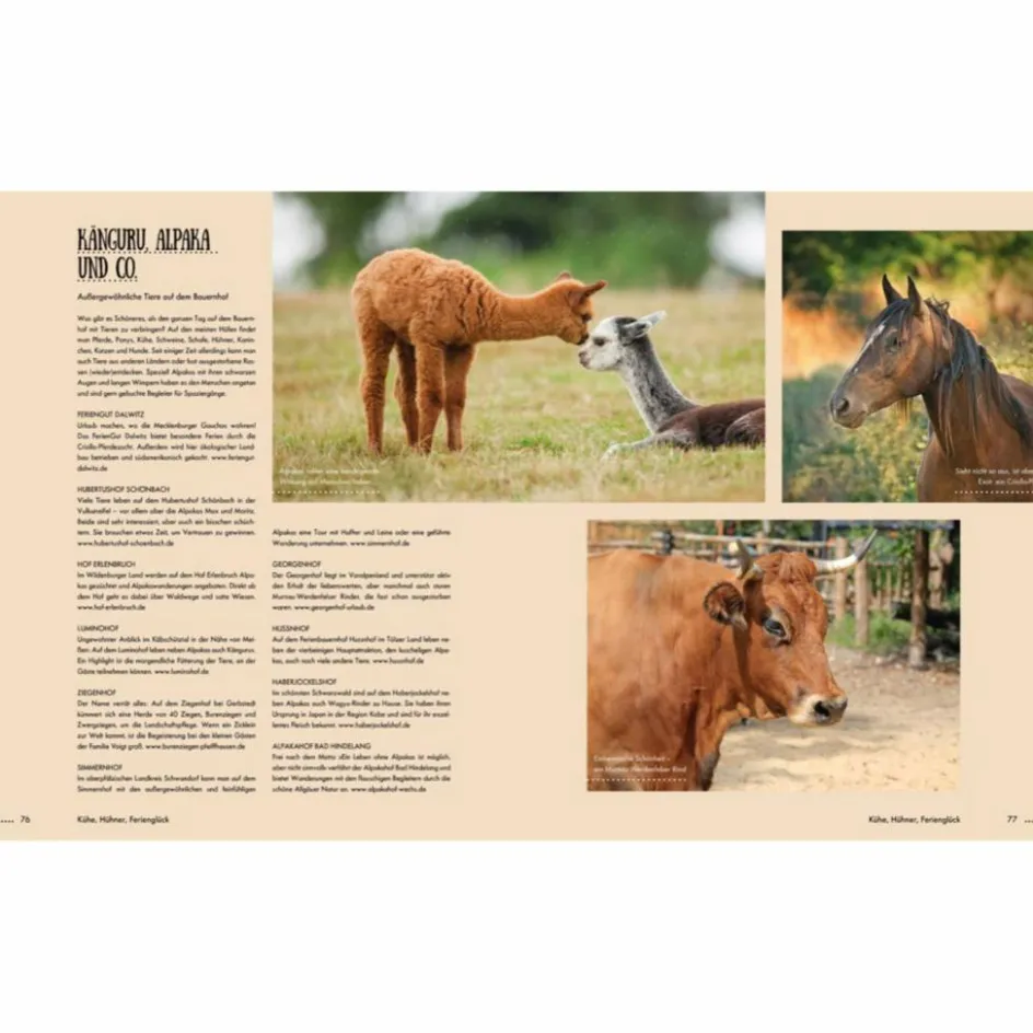 Clearance KÜHE, HÜHNER, FERIENGLÜCK - Reiseführer Reiseführer Deutschland