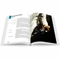 Boulderführer|Sportklettern: Kletterführer, Training Und Techniken^KLETTERFÜHRER STUTTGART ROCKT