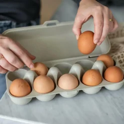 Discount EGG BOX EGGS TO GO Campingtöpfe Und Campinggeschirr