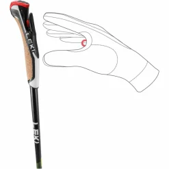 Online FLASH CARBON - Nordic Walking Stöcke Trekkingstöcke