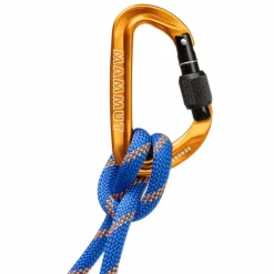 Outlet SENDER SCREWGATE CARABINER - Karabiner Karabiner