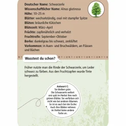 Kinder Moses Verlag Kinderreisespiele Und Spielzeug^EXPEDITION NATUR 50 HEIMISCHE BÄUME - Reisespiel