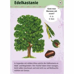 EXPEDITION NATUR 50 ESSBARE WILDPFLANZEN - Reisespiel Kinder Kinderreisespiele Und Spielzeug