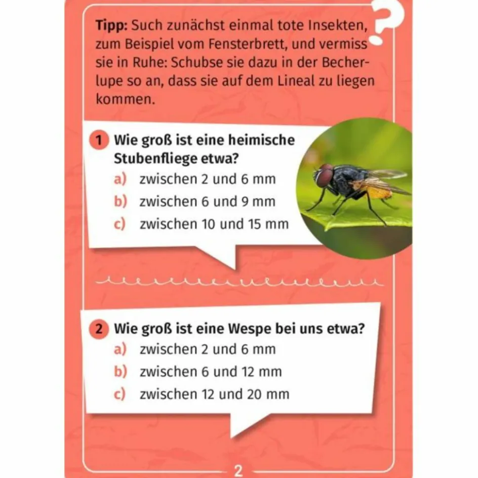 Kinder Moses Verlag Kinderreisespiele Und Spielzeug^MEIN BECHERLUPEN-FORSCHERQUIZ - Reisespiel