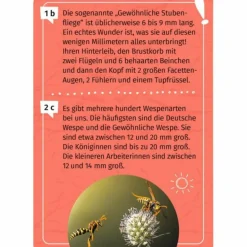 Kinder Moses Verlag Kinderreisespiele Und Spielzeug^MEIN BECHERLUPEN-FORSCHERQUIZ - Reisespiel