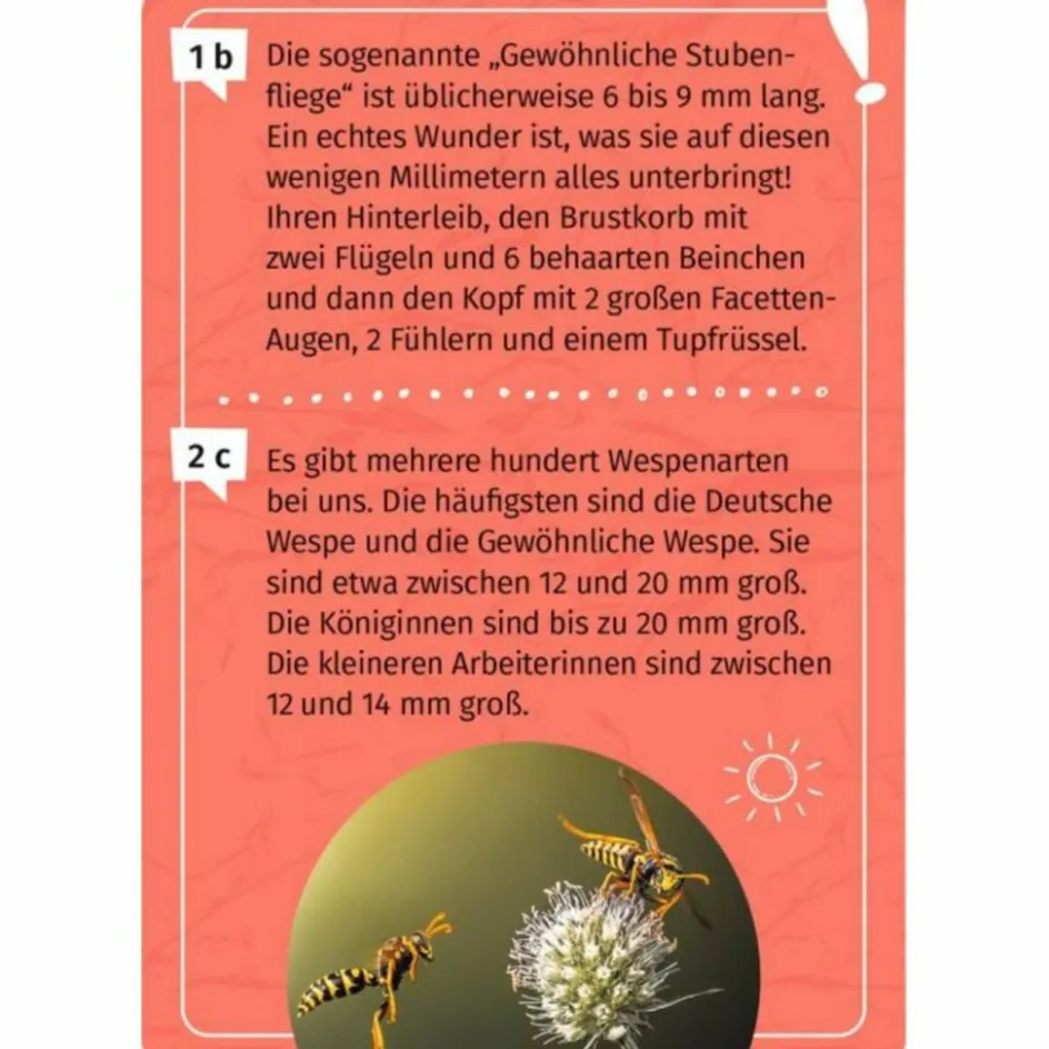 Kinder Moses Verlag Kinderreisespiele Und Spielzeug^MEIN BECHERLUPEN-FORSCHERQUIZ - Reisespiel