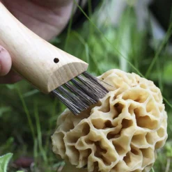 Opinel Klappmesser^NO 08 PILZMESSER MIT BÜRSTE Unisex - Klappmesser