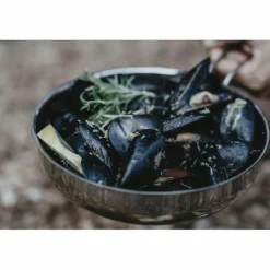 Primus Campingtöpfe Und Campinggeschirr^CAMPFIRE FRYING PAN S.S. 25CM - Campinggeschirr