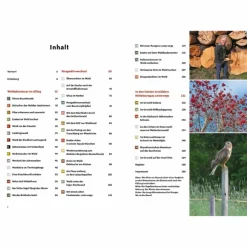 Outdoor Wissen: Tipps Und Techniken^RAUS IN DEN WALD - Ratgeber