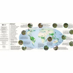 Online REGENWALD - Kinderbuch Kinder Naturratgeber Und Sachbücher|Kinderbücher Und Jugendbücher