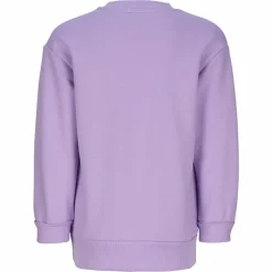 Online SWEATSHIRT, COLLARI Kinder - Sweatshirt Kinder Kinder Fleecejacken Und Kinderpullover