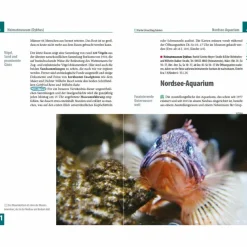 Reiseführer Deutschland^REISE KNOW-HOW REISEFÜHRER BORKUM